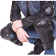 Мотонаколінники та налокітники Alpinestars Black