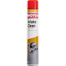 INTAKE CLEAN WORKSHOP 0.75л