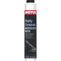 MOLY GREASE 400г
