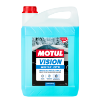 MOTUL VISION WINTER -20°C 5л