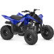 YAMAHA YFM110R Racing Blue