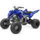 YAMAHA YFM700R Racing Blue