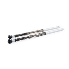 FKA-11600-00-00 КОМПЛЕКТ КАРТРИДЖІВ ÖHLINS FKA116 ДЛЯ TÉNÉRÉ 700 WORLD RAID