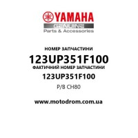 Yamaha OEM 123UP351F100 — P/B CH80