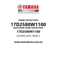 Yamaha OEM 17D2580W1100 — CALIPER ASSY, REAR 2