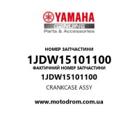 Yamaha OEM 1JDW15101100 — CRANKCASE ASSY