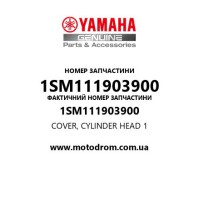 Yamaha OEM 1SM111903900 — COVER, CYLINDER HEAD 1