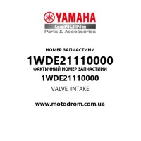 Yamaha OEM 1WDE21110000 — VALVE, INTAKE