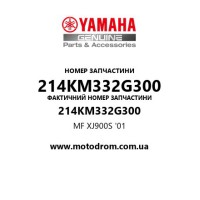 Yamaha OEM 214KM332G300 — MF XJ900S '01