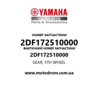 Yamaha OEM 2DF172510000 — GEAR, 5TH WHEEL