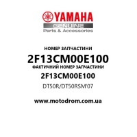 Yamaha OEM 2F13CM00E100 — DT50R/DT50RSM'07