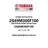 Yamaha OEM 2G69M300F100 — MF F2.5A '08