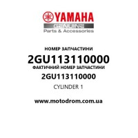 Yamaha OEM 2GU113110000 — CYLINDER 1