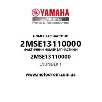 Yamaha OEM 2MSE13110000 — CYLINDER 1