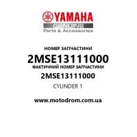 Yamaha OEM 2MSE13111000 — CYLINDER 1