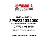 Yamaha OEM 2PW231034000 — FRONT FORK ASSY (R.H)