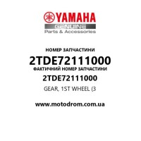 Yamaha OEM 2TDE72111000 — GEAR, 1ST WHEEL (3