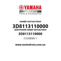 Yamaha OEM 3D8113110000 — CYLINDER 1