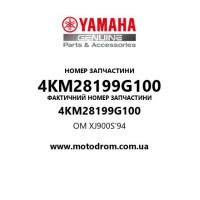 Yamaha OEM 4KM28199G100 — OM XJ900S'94