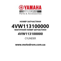 Yamaha OEM 4VW113100000 — CYLINDER