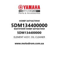 Yamaha OEM 5DM134400000 — ELEMENT ASSY, OIL CLEANER