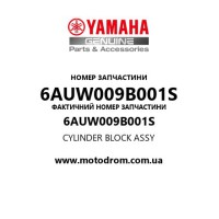 Yamaha OEM 6AUW009B001S — CYLINDER BLOCK ASSY