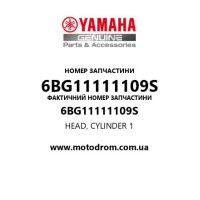Yamaha OEM 6BG11111109S — HEAD, CYLINDER 1