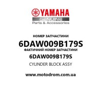 Yamaha OEM 6DAW009B179S — CYLINDER BLOCK ASSY