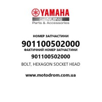 Yamaha OEM 901100502000 — BOLT, HEXAGON SOCKET HEAD