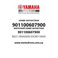 Yamaha OEM 901100607900 — BOLT, HEXAGON SOCKET HEAD