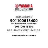 Yamaha OEM 901100613400 — BOLT, HEXAGON SOCKET HEAD(1WG)