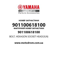 Yamaha OEM 901100618100 — BOLT, HEXAGON SOCKET HEAD(3LN)