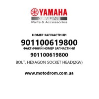 Yamaha OEM 901100619800 — BOLT, HEXAGON SOCKET HEAD(2GV)