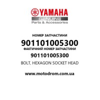 Yamaha OEM 901101005300 — BOLT, HEXAGON SOCKET HEAD