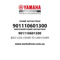 Yamaha OEM 901110601300 — BOLT-COIL COVER TO CAM COVER