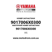 Yamaha OEM 9017006X0300 — VIS