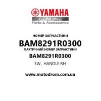 Yamaha OEM BAM8291R0300 — SW., HANDLE RH
