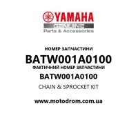 Yamaha OEM BATW001A0100 — CHAIN & SPROCKET KIT