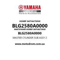 Yamaha OEM BLG2580A0000 — MASTER CYLINDER SUB ASSY 2