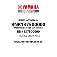 Yamaha OEM BNK137500000 — THROTTLE BODY ASSY