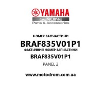 Yamaha OEM BRAF835V01P1 — PANEL 2