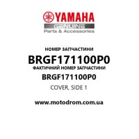 Yamaha OEM BRGF171100P0 — COVER, SIDE 1