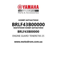 Yamaha OEM BRLF43B00000 — ENGINE GUARD TENERE700 25