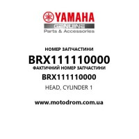 Yamaha OEM BRX111110000 — HEAD, CYLINDER 1