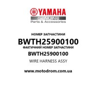 Yamaha OEM BWTH25900100 — WIRE HARNESS ASSY