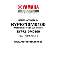 Yamaha OEM BYPF210M0100 — REAR ARM ASSY 1