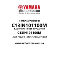 Yamaha OEM C13IN101100M — UNIT COVER - INDOOR MEDIUM