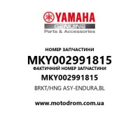 Yamaha OEM MKY002991815 — BRKT/HNG ASY-ENDURA,BL