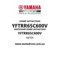 Yamaha OEM YFTRR65C600V — METER