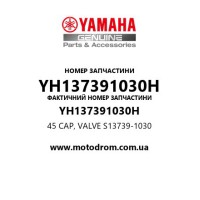 Yamaha OEM YH137391030H — 45 CAP, VALVE S13739-1030